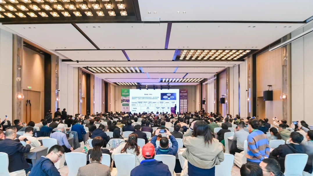 202504090955184401.jpg 202504090955184401.jpg