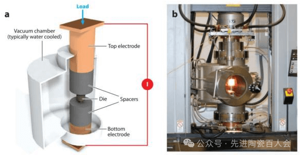 202512181013356730.png 202512181013356730.png